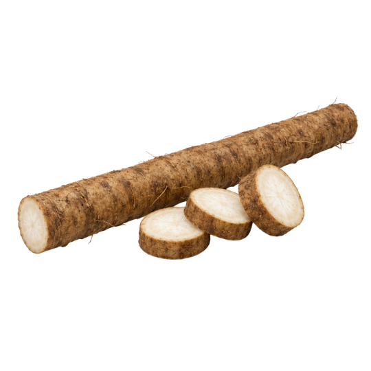 Burdock root